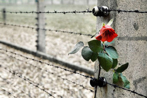 Immagine simbolo Shoah